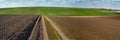 plowed and grren field with dirt road in spring Royalty Free Stock Photo