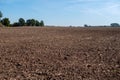 A plowed and harrowed field Royalty Free Stock Photo