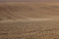 Plowed and harrowed field Royalty Free Stock Photo