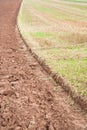 Plowed and harrowed field Royalty Free Stock Photo