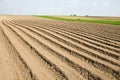 Plowed field Royalty Free Stock Photo