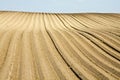 Plowed field Royalty Free Stock Photo