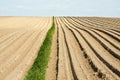 Plowed field Royalty Free Stock Photo