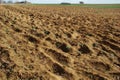 Plowed land Royalty Free Stock Photo