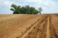 Plowed land Royalty Free Stock Photo