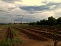 Plowed Land at the farm