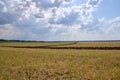 Plowed land, harvested, cultivated Chernozem