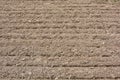 Plowed land for planting Royalty Free Stock Photo