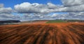 A plowed land with shaded trees and an agrarian landscape of the springtime Royalty Free Stock Photo