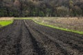 Plowed, Planted And Hilling Rows Black-earth Field. Ground Texture