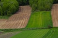 Plowed, Planted And Hilling Rows Black-earth Field. Ground Texture