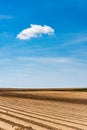 Plowed or Ploughed Fields in Countryside. Organic Food and Agriculture. Blue Sky over Horizon