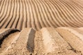 Plowed or Ploughed Fields at Countryside. Rows in Farmland at Srping. Agriculture Concept