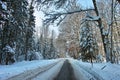 Country road sporadically cleared of snow in forest landscape Royalty Free Stock Photo