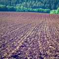 Plowed Fields