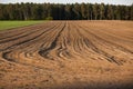 Plowed soil