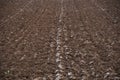 Plowed soil