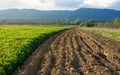 Plowed soil ready for planting vegetables Royalty Free Stock Photo