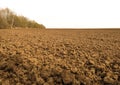 Plowed soil