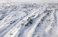 plowed soil under snow