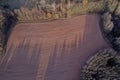 Plowed sowed field in spring near forest, aerial