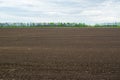 Plowed sown agricultural field with black fertile soil. Spring landscape with agricultural plantation land Royalty Free Stock Photo