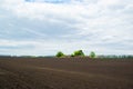 Plowed sown agricultural field with black fertile soil. Spring landscape with agricultural plantation land