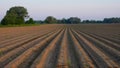 Plowed sown fields at dawn Royalty Free Stock Photo