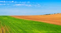 Plowed and sown fields in the spring. Farmlands, agriculture