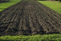 Plowed spring field. preparation for sowing of plants. Black earth, black earth cover among the green young grass in the field.