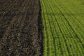 Plowed spring field. preparation for sowing of plants. Black earth, black earth cover among the green young grass in the field.