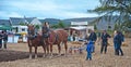 Plowing at Daviot Estate