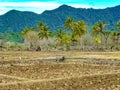 Plowing farmland for planting, Indonesia Royalty Free Stock Photo