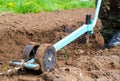 Plowing a field for planting potatoes with hand plow Concept of planting, harvest and agronomy