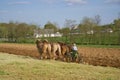 Plowing with horses