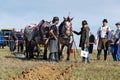 Plowing horses on field on ploughing championship