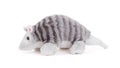 Pluche armadillo toy Royalty Free Stock Photo