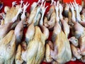 Plucked chicken in the market in Thailand