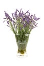 Plucked lavender in glass vase