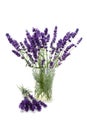 Plucked lavender in glass vase