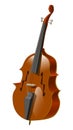 Plucked musical instrument - double bass