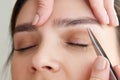 Plucking female eyebrows with tweezers during eyebrow correction in beauty salon Royalty Free Stock Photo