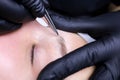 Plucking unwanted eyebrow hairs after laminating the eyebrows with tweezers Royalty Free Stock Photo