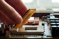 Plug CPU microprocessor to motherboard socket. Royalty Free Stock Photo