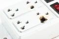 Plug is damaged by electricity Royalty Free Stock Photo