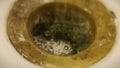 Plughole drain water macro