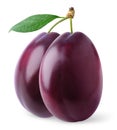 Isolated plums Royalty Free Stock Photo