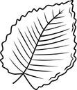 Plum apple cherry leaf drawing in black isolated on white background. Hand drawn vector sketch illustration in simple doodle Royalty Free Stock Photo