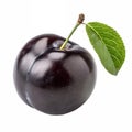 Plum (Black) Royalty Free Stock Photo
