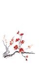 Plum blossom